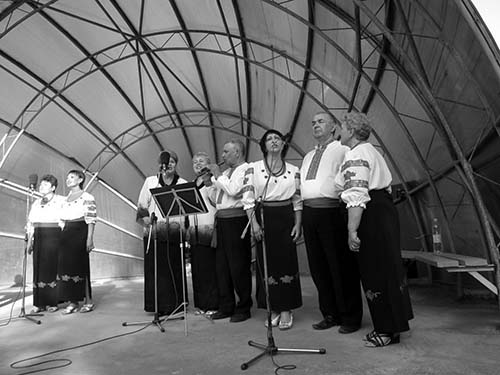 фото ракушка 1