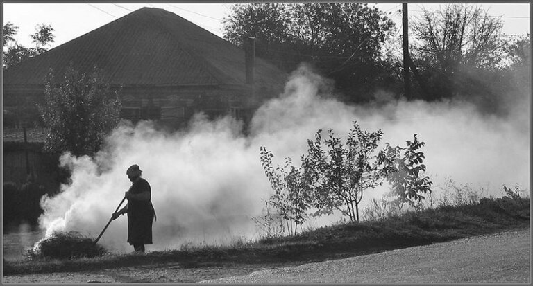 По замкнутому кругу