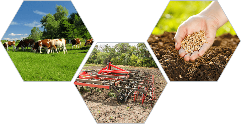 Программа развития АПК