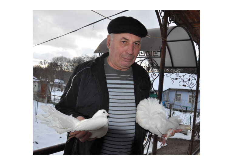 Любовь и голуби