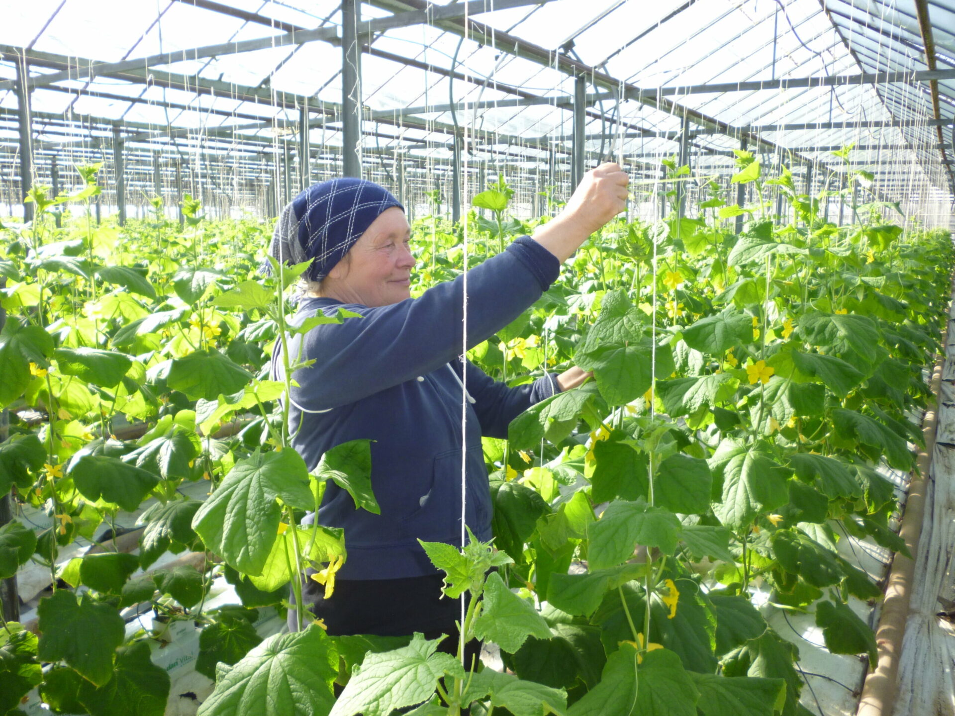 Наталья Стоянова