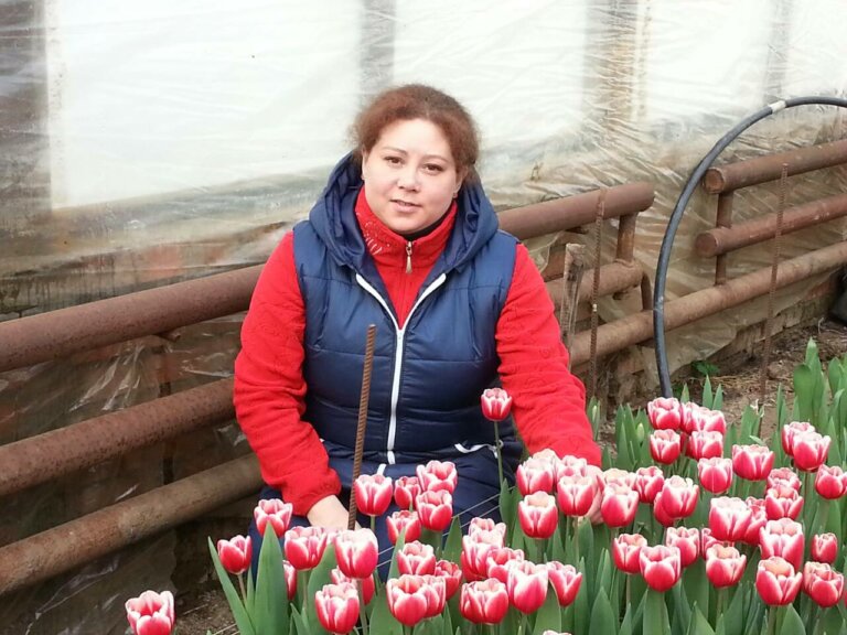 И в Голландию ехать не надо