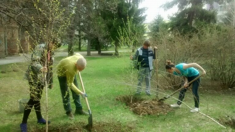 Дело рук твоих