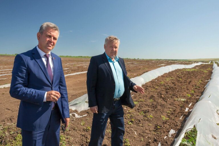 По давнему принципу