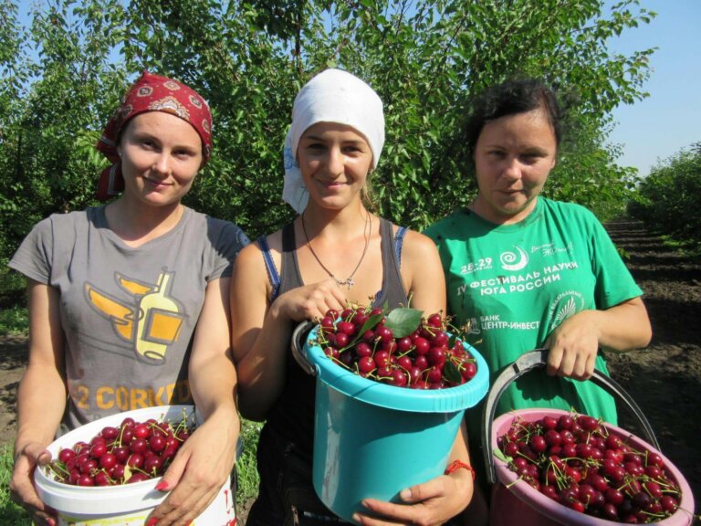 Вишневый сад как символ детства