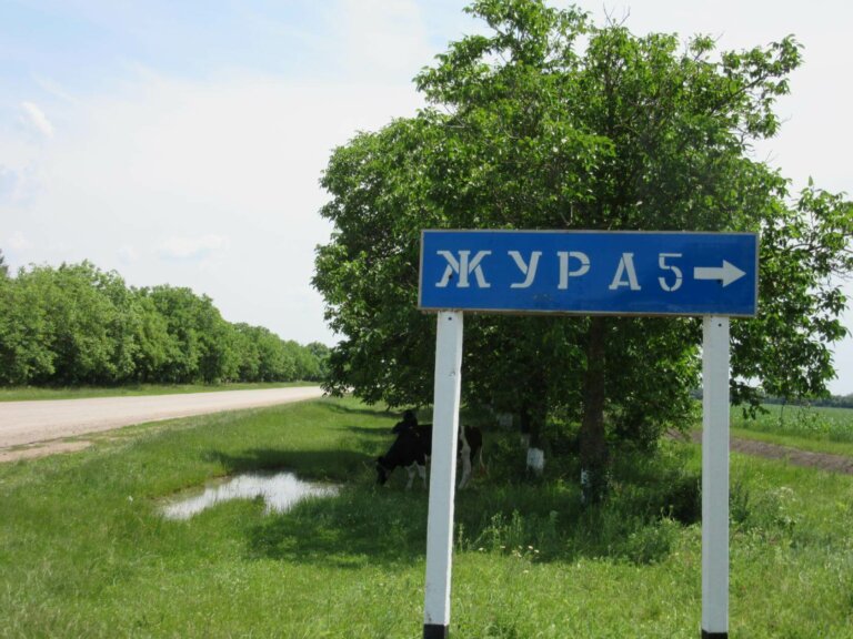 100 — летний тополь мне о Журе рассказал …