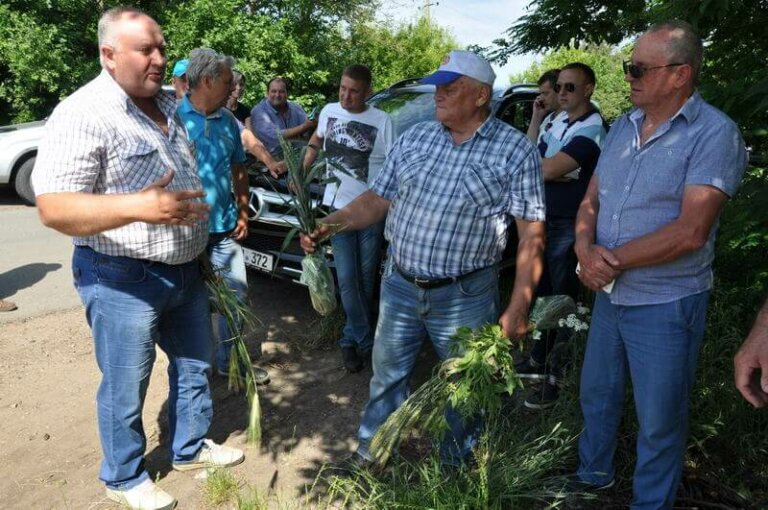День поля в Рыбнице
