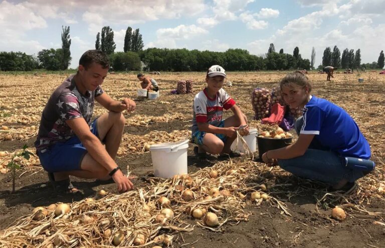 Летом заработать можно