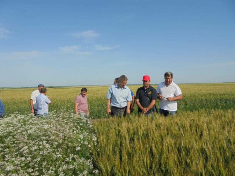 День дубоссарского поля