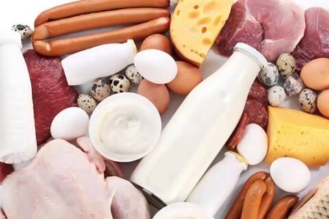 мясо-молочное производство