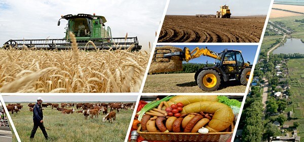 сельское хозяйство