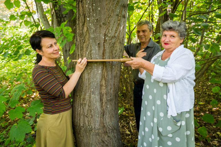 Что делает в лесу наука