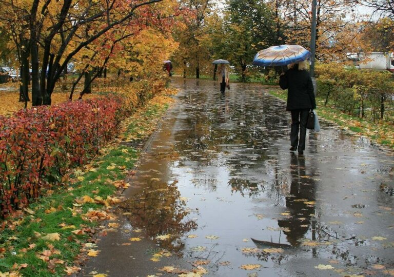 Приметы ноября