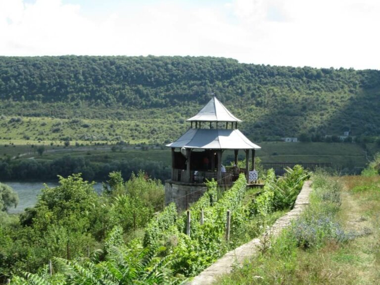Литературные Строенцы