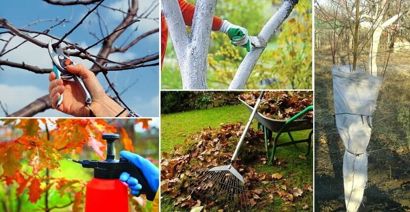 sentyabrskie-raboty-na-dache