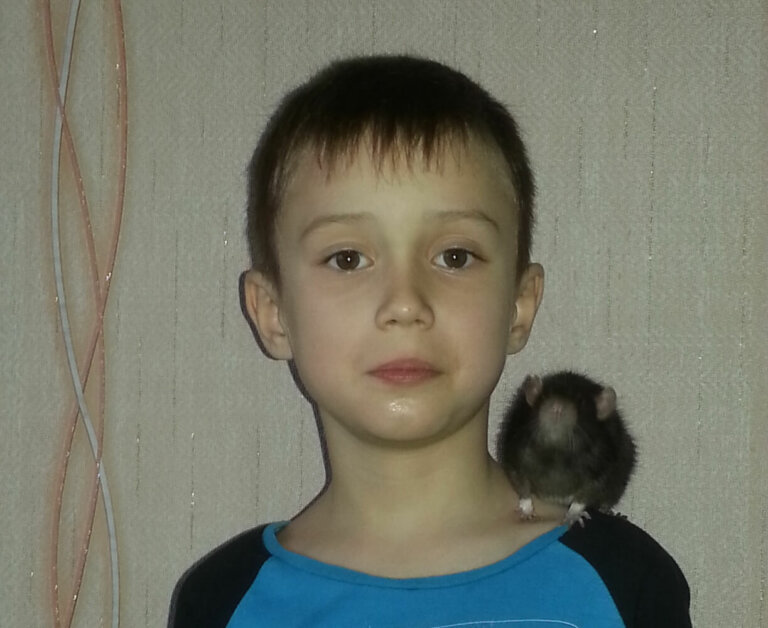 Демьянкина  крыса, или Любимица Бэгги