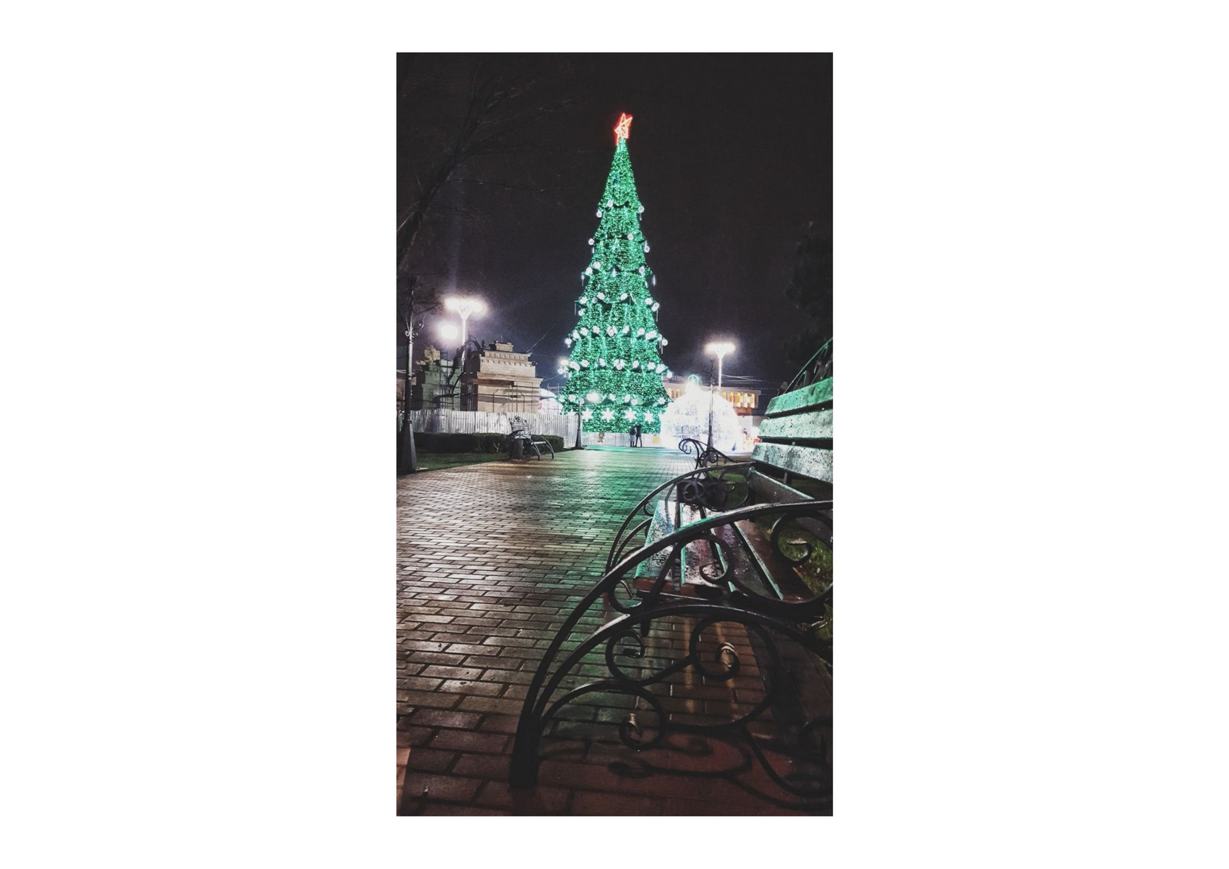 Безымянный-1