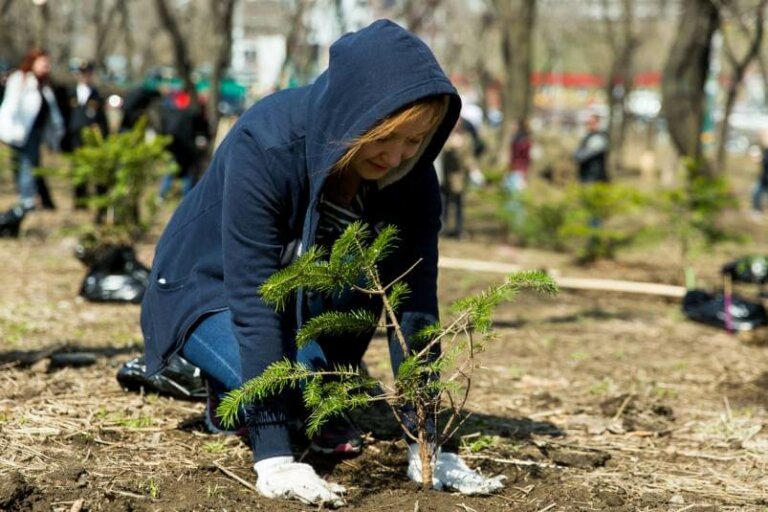 Два сообщающихся сосуда: экология-здоровье
