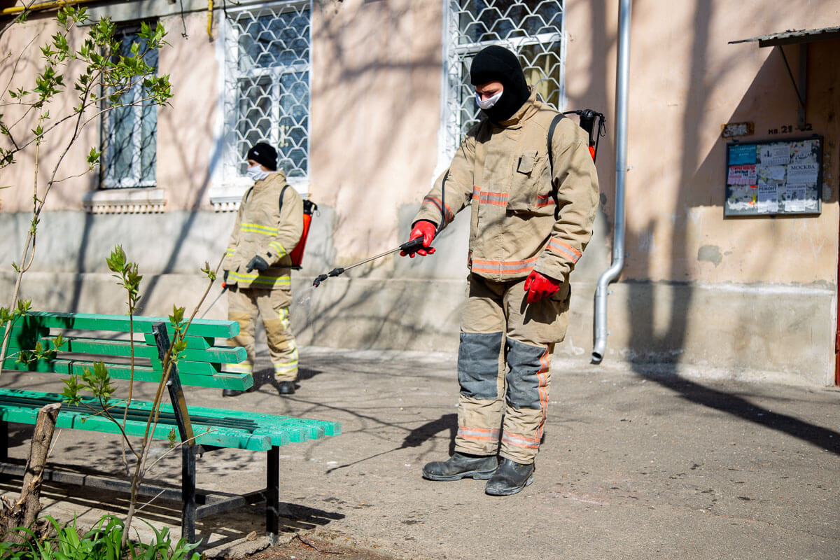 дезинсекция новости приднестровья