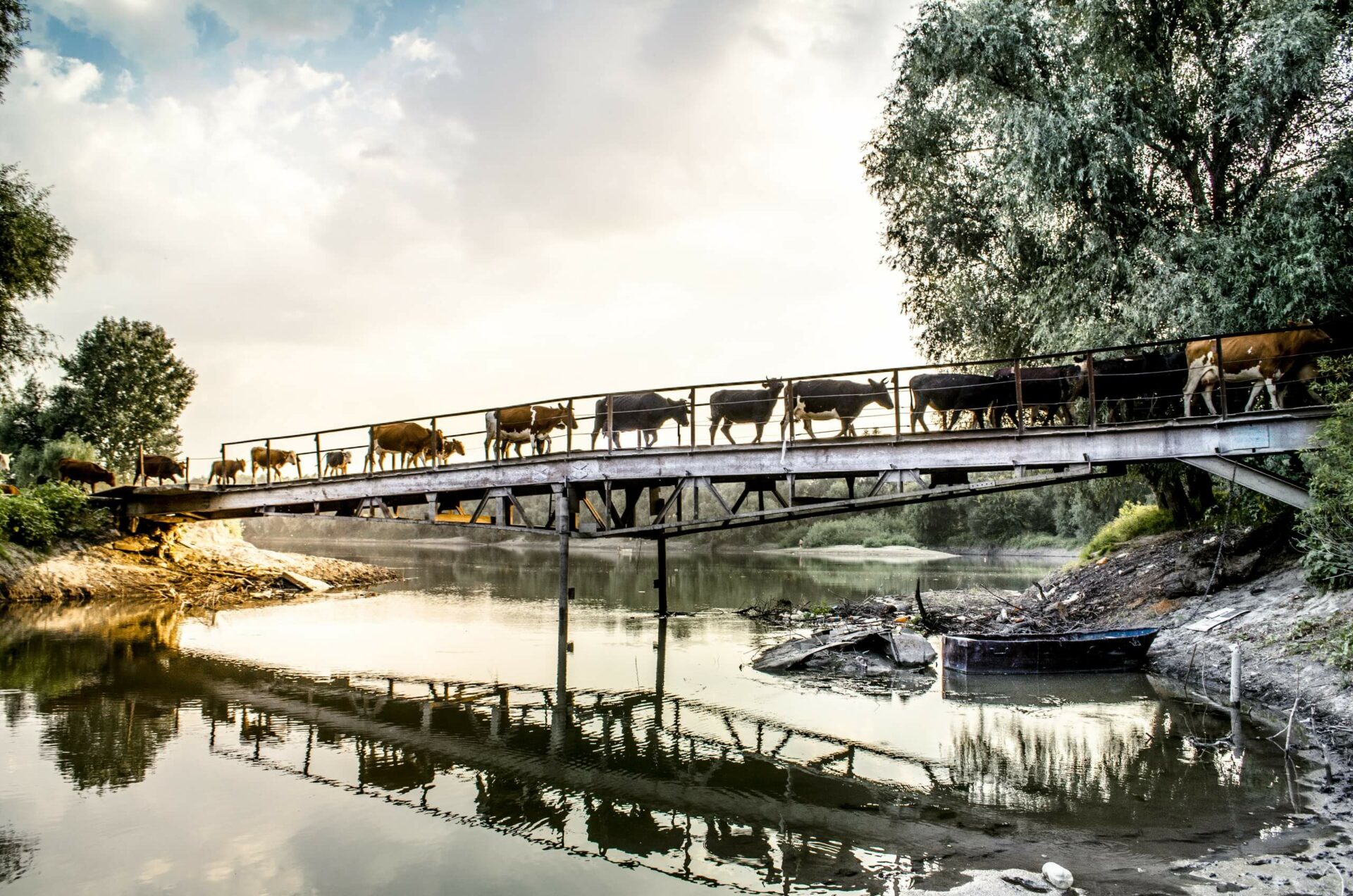 Автор Калиниченко Анатолий г Днестровск 27 лет