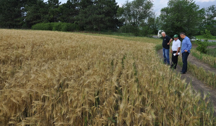 дубоссары фото дубоссарская госадминистрация