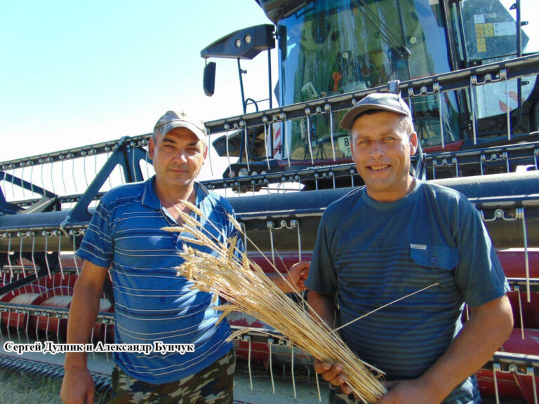 Когда убираешь урожай, сердце поёт…
