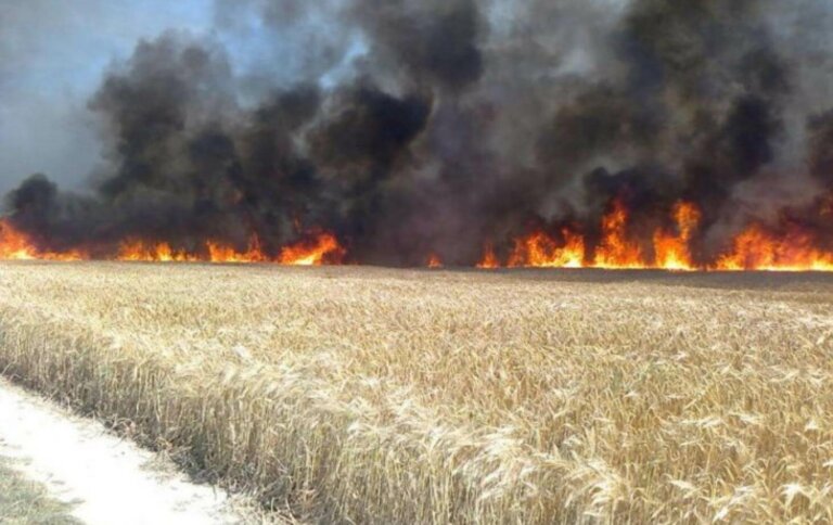 Собрать урожай и не устроить пожар