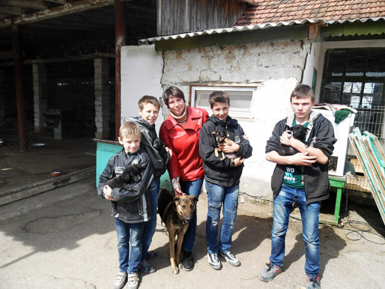 Бездомный приют