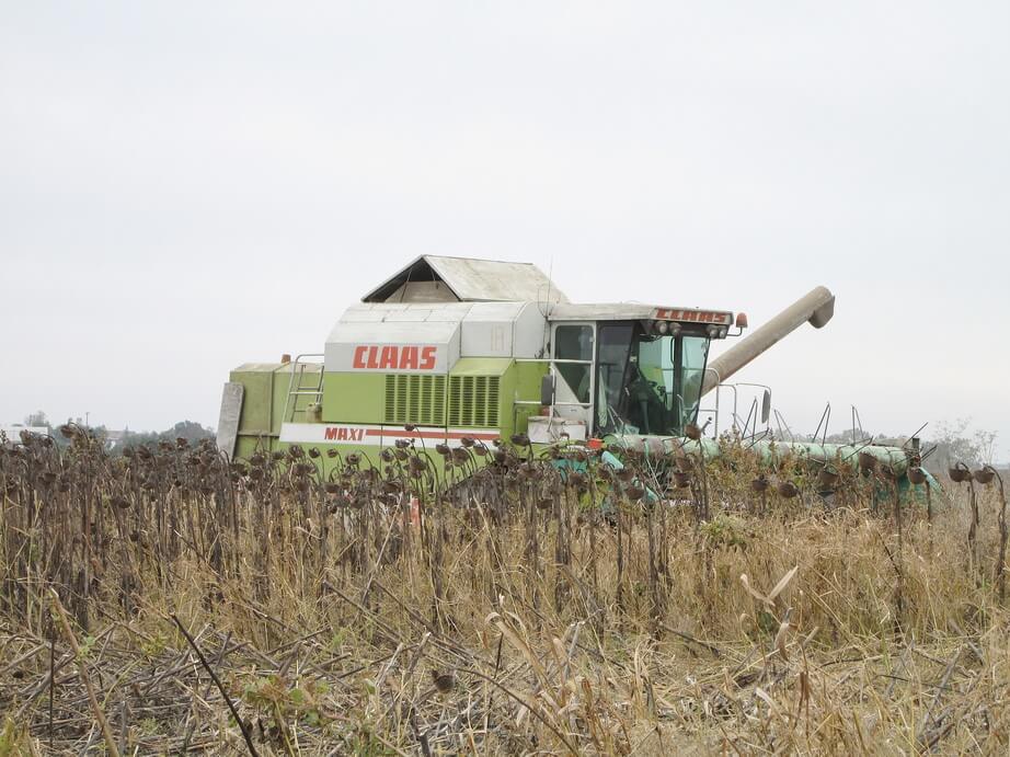 поле комбайн 2