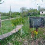 фото недели 1