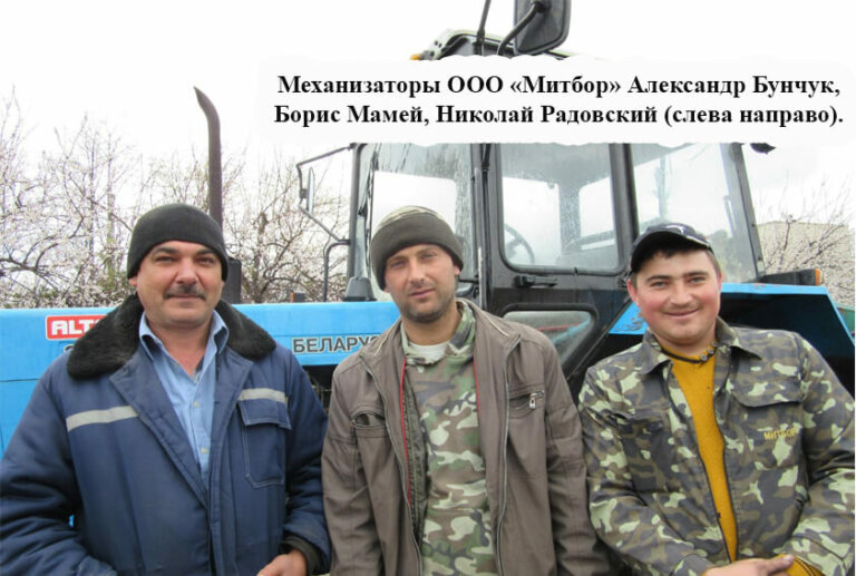 Поле надежды нашей