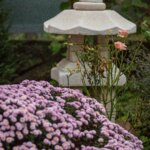 IMG_0713_1