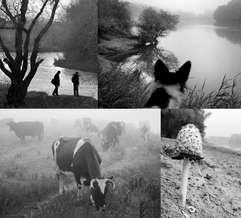 Осенний лес. Опыт погружения