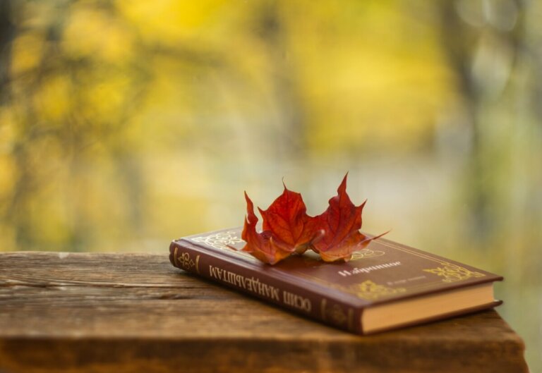 Несколько осенних пирогов — и зима