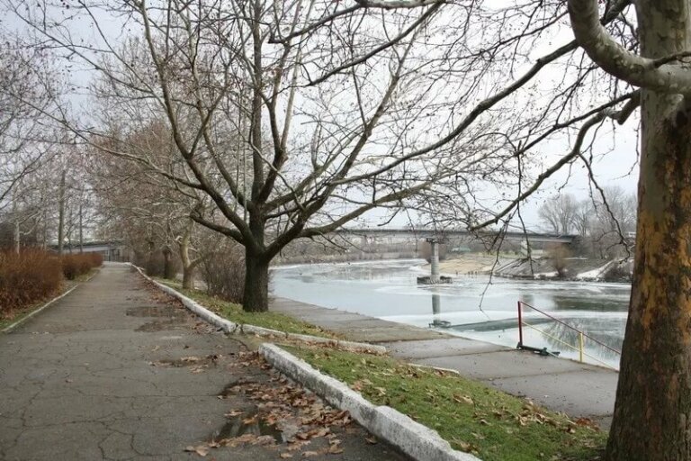 Здравствуй , матушка Зима!