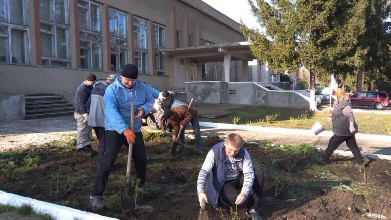 Розы на Аллее памяти