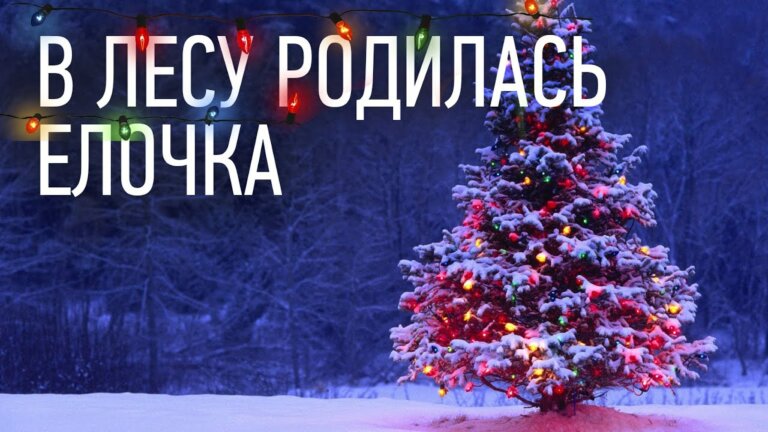 В лесу родилась ёлочка