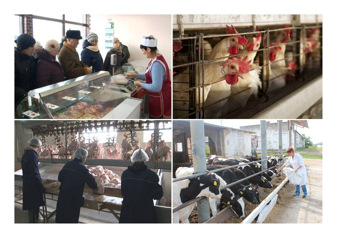 Животноводство ПМР