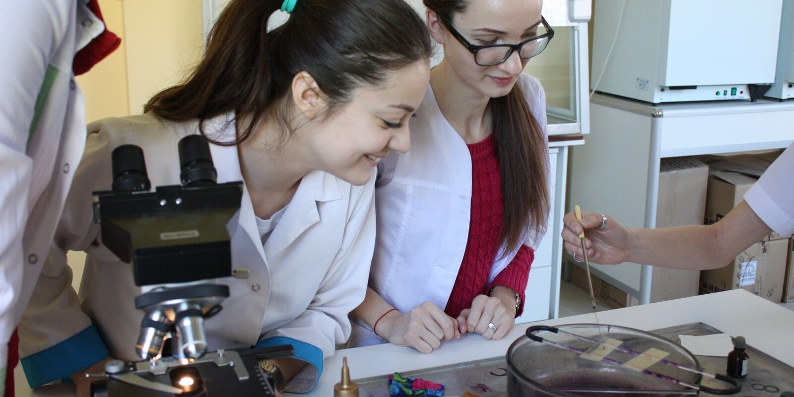 медики medik.spsu.ru