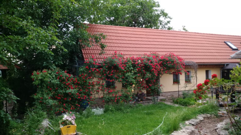 В гостях у Светланы Палазник