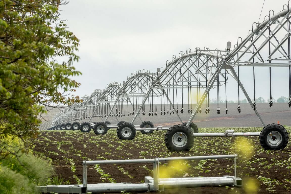 IMG_1115_новый размер