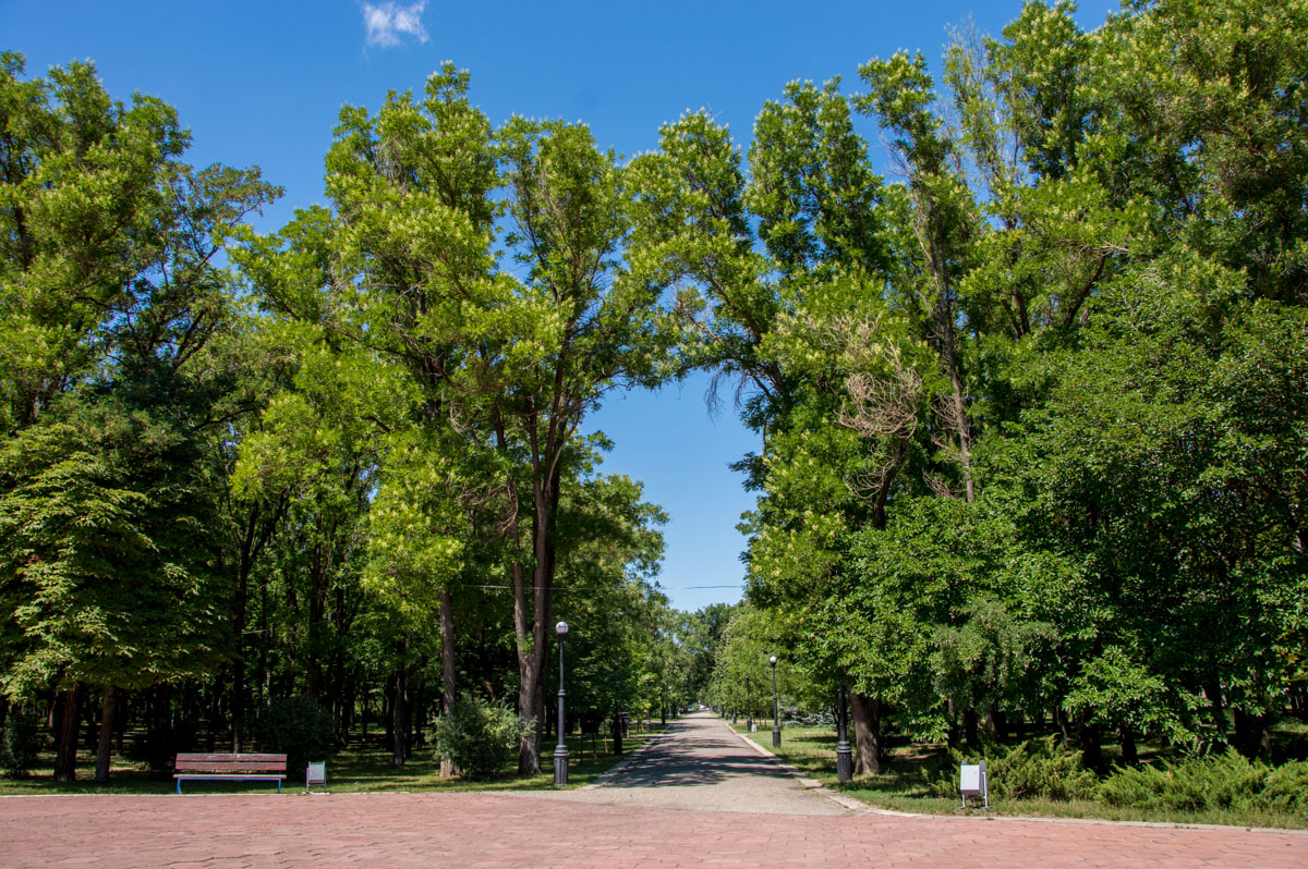 20180702-dsc_0361_park_pobedy_0