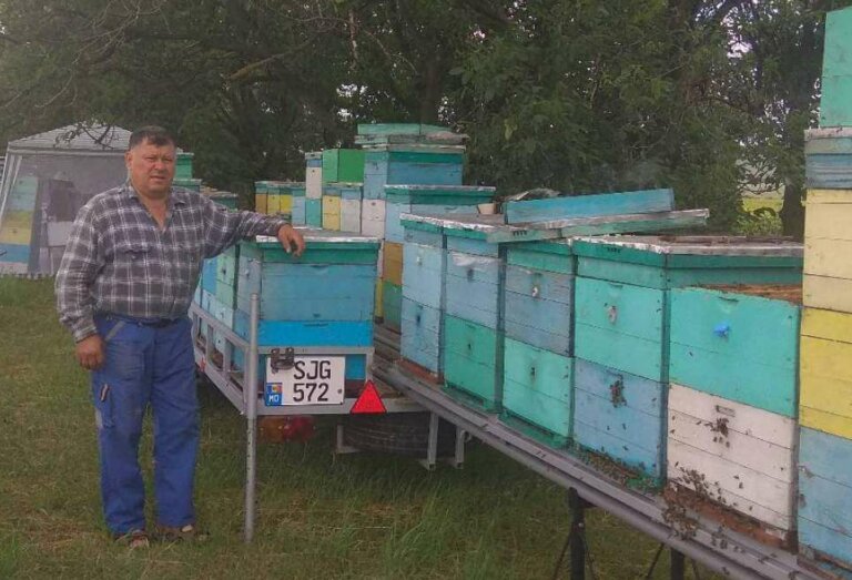 Медовая история, или У пчёл бездельников не бывает!