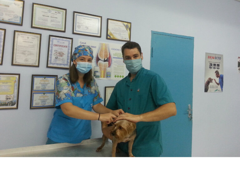 Ангелы-хранители животных