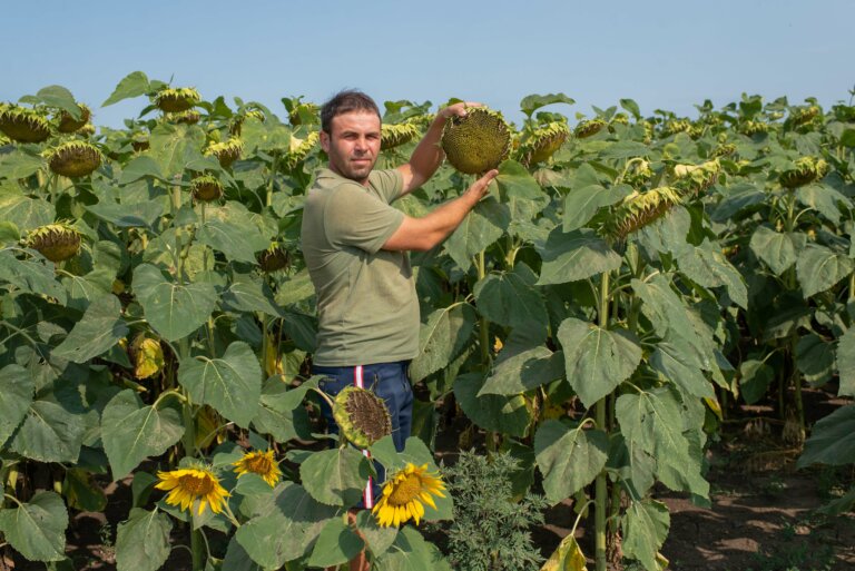 С какими запасами в зиму войдем?
