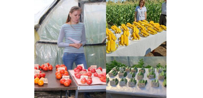 Да, не иссякнет «родничок»