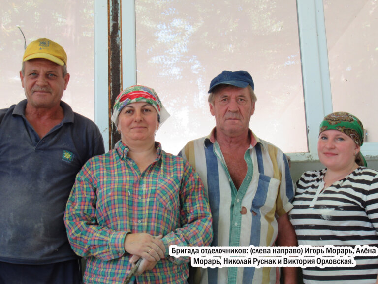 Обновление гребной базы