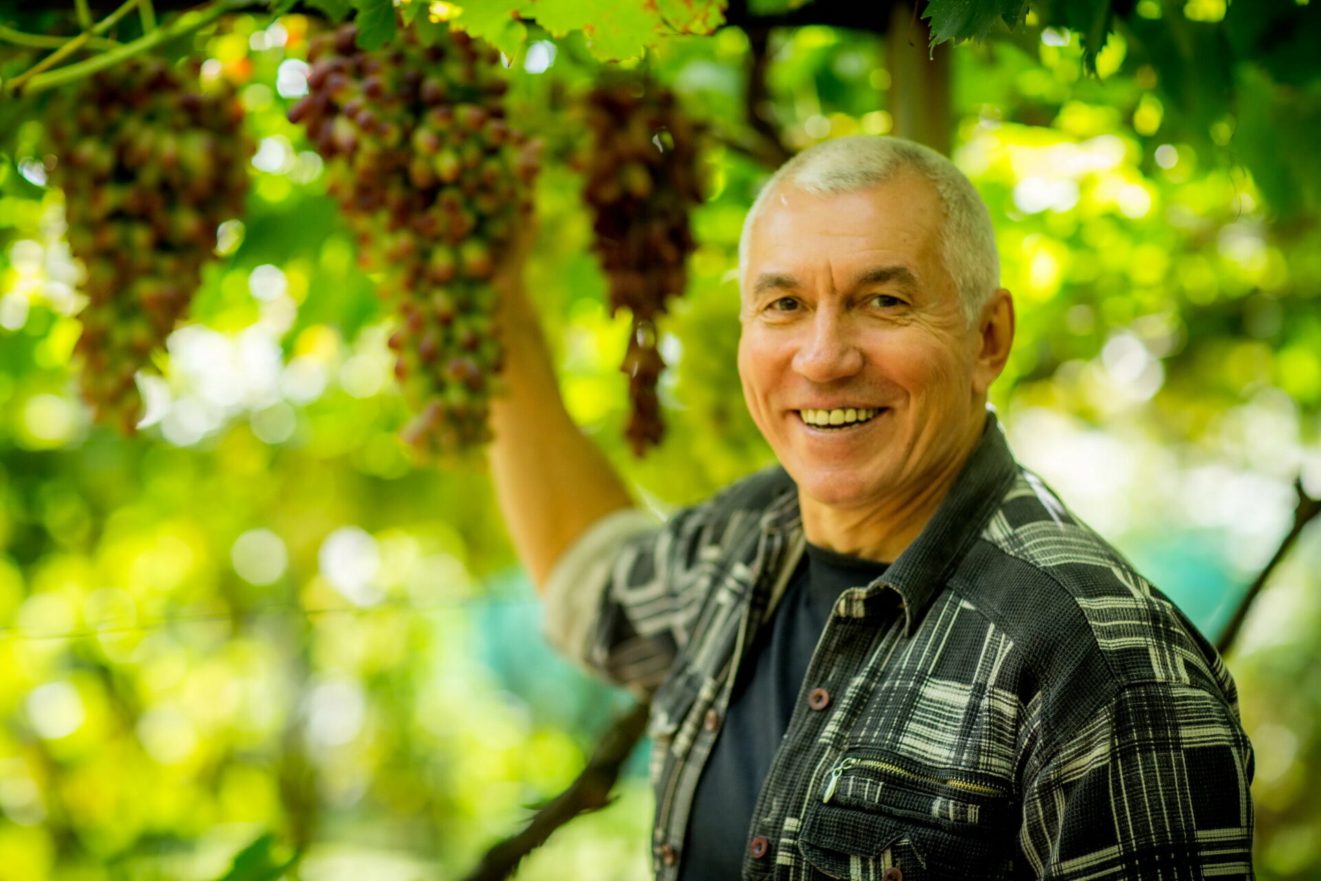 Николай Камерзан