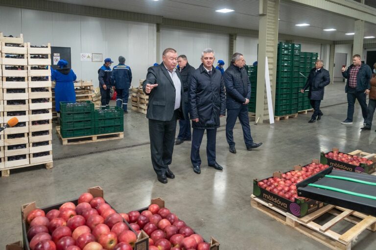 При консолидированном подходе можно решить любую проблему
