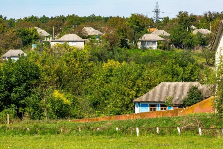 Чтобы «тропики» не были печальными